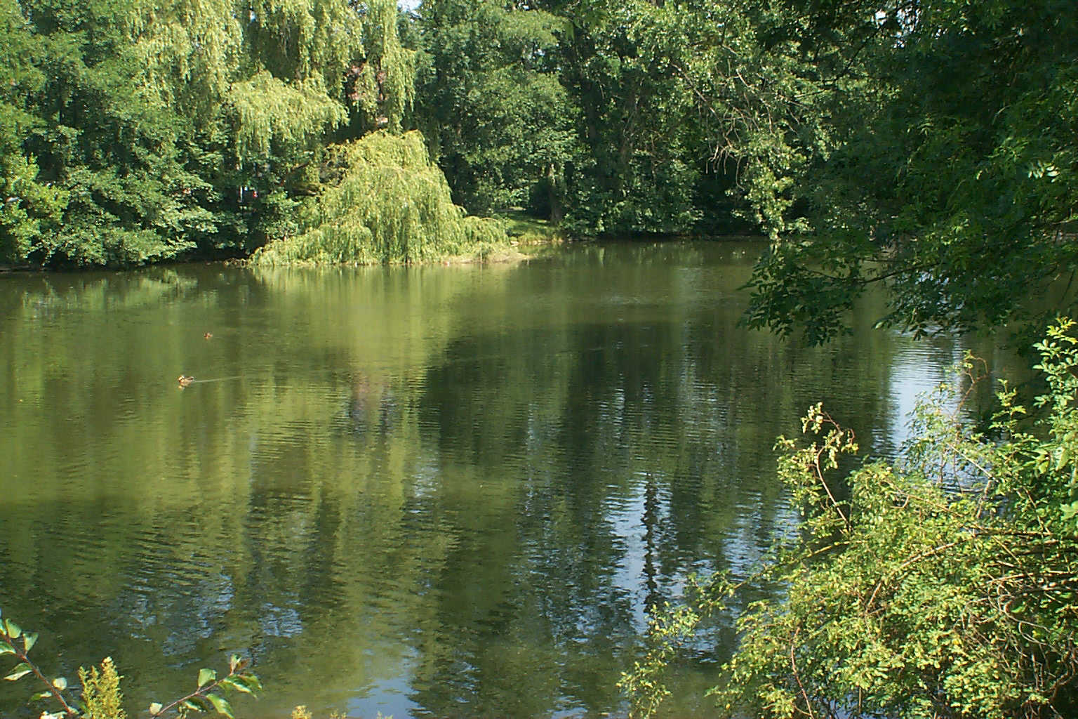 Feuersee in Stuttgart-Vaihingen